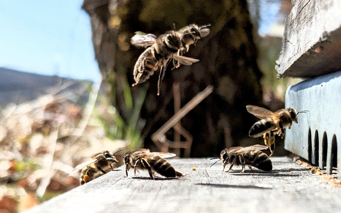 Igüeña hiking routes website