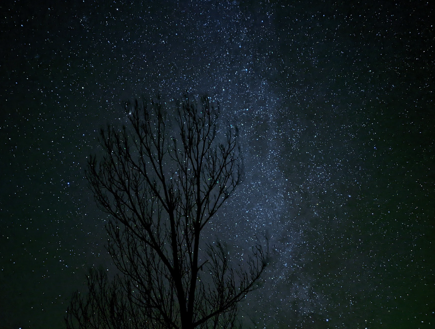 Internal morphology and light absorption paint detail