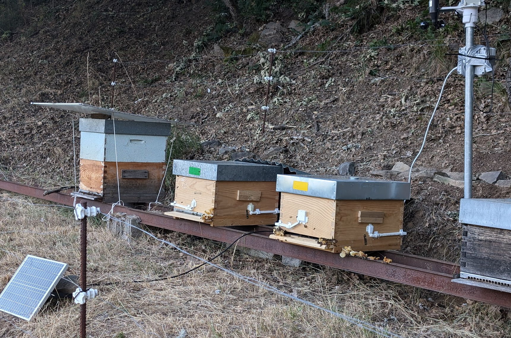 Hive internal sensor placement
