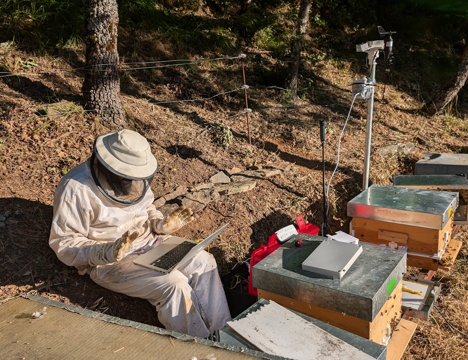LoRa node / enclosure in the field