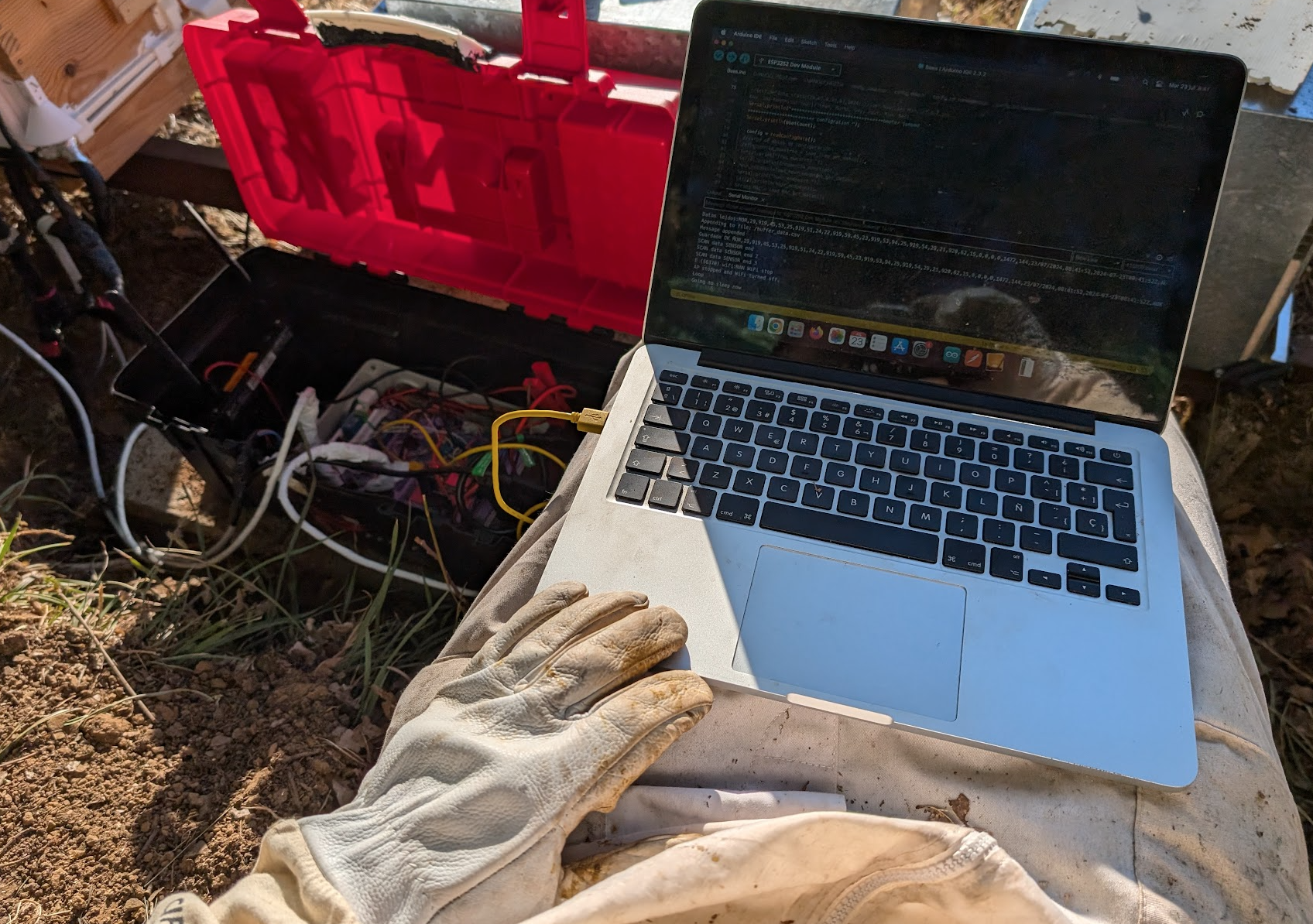 Dashboard with real data