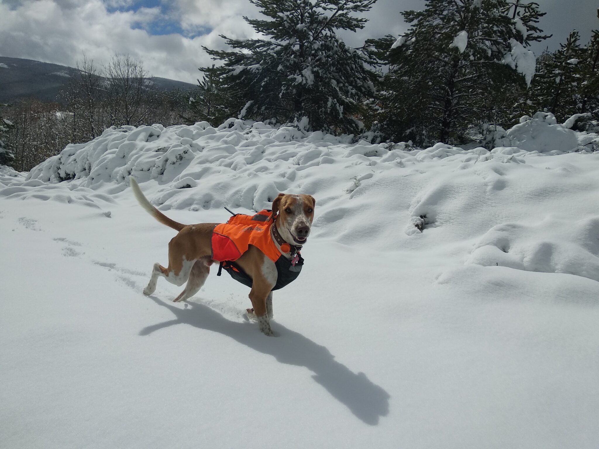 Enjoy thinking texts