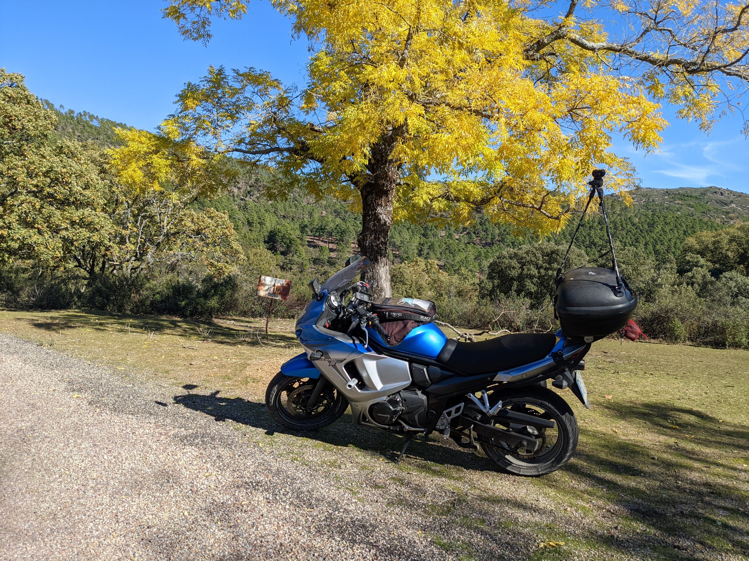 Tripod assembled and ready for 360 recording