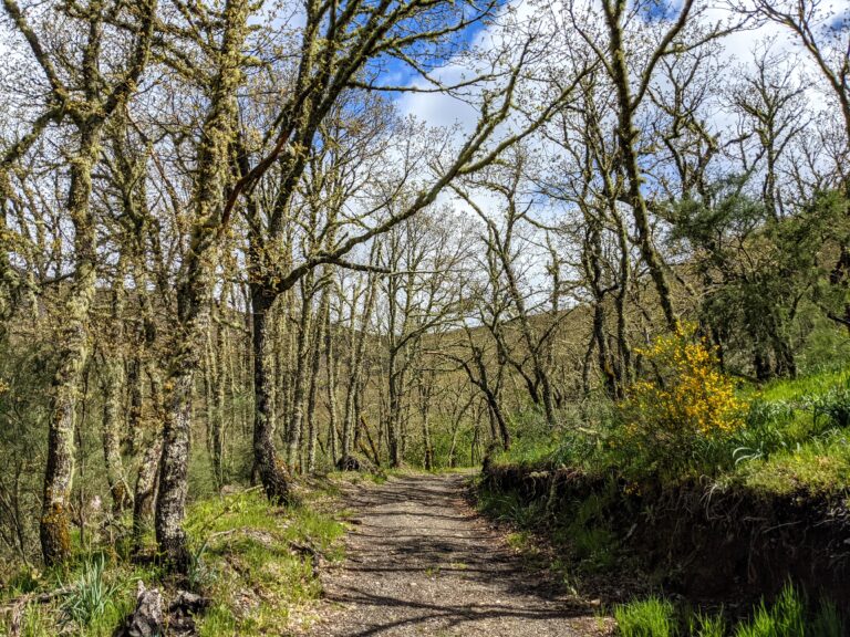 Route detail: map and safety information