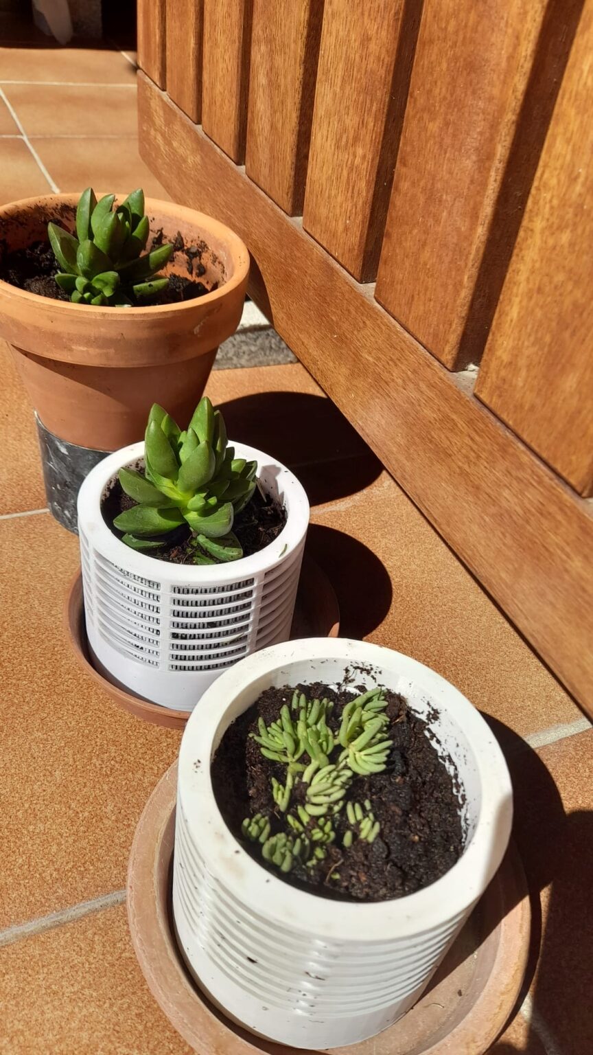 COVID protective face shield assembled