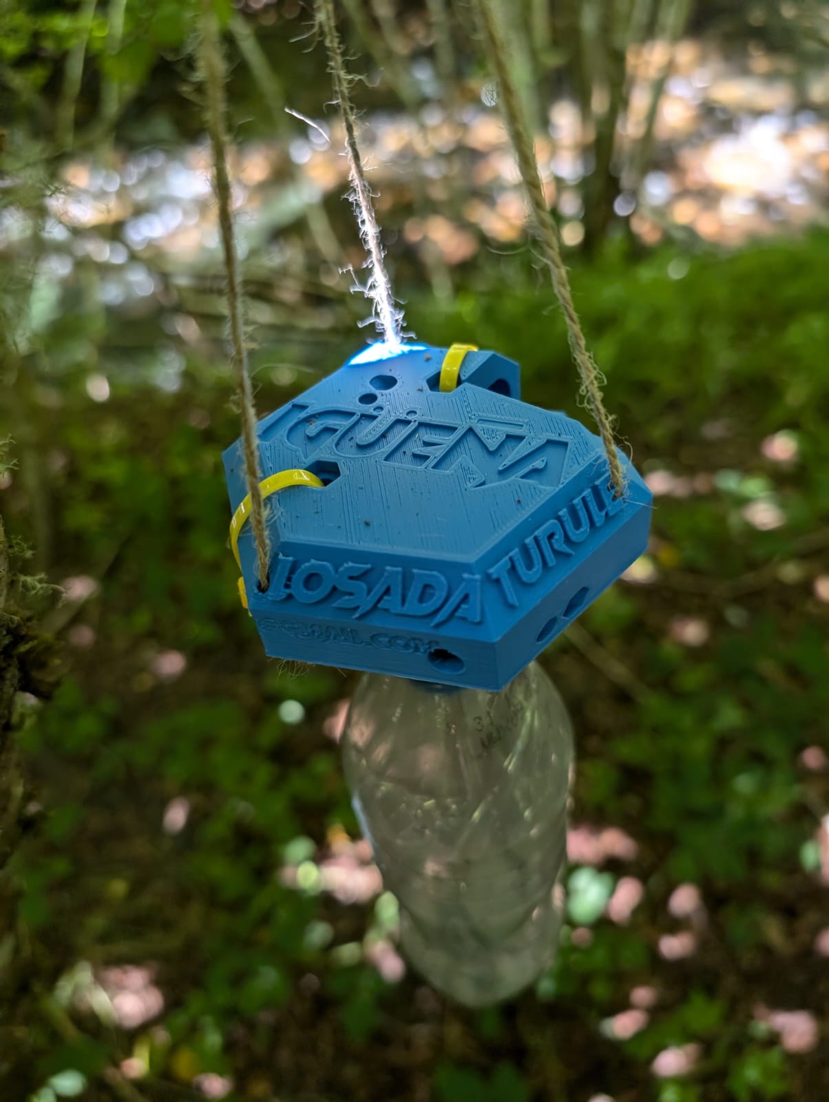 Velutina trap mounted on bottle